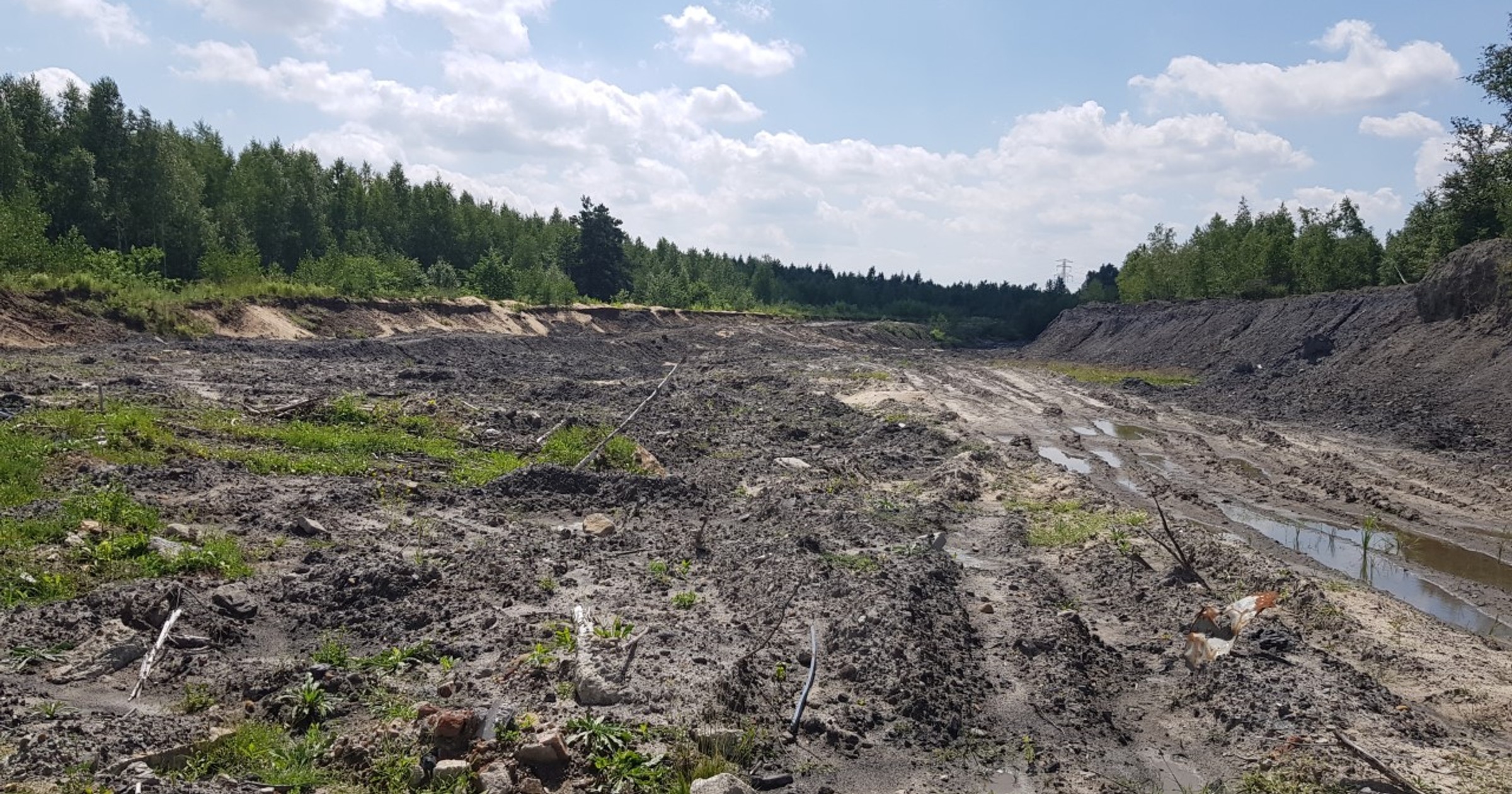 W Jaworznie miała być produkowana Izera. Tej marki nie zobaczymy, ale fabryka samochodów może faktycznie powstanie