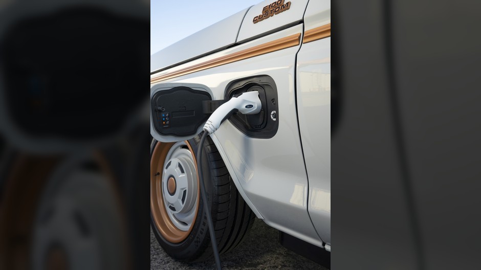 Ford F100 Eluminator