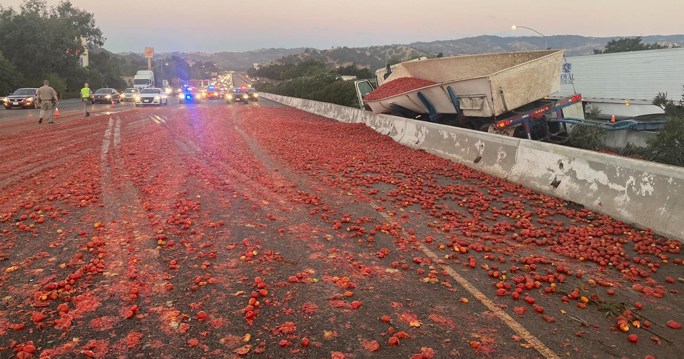 W Kalifornii na autostradę wysypało się 150 tys. pomidorów, co doprowadziło do ogromnego chaosu