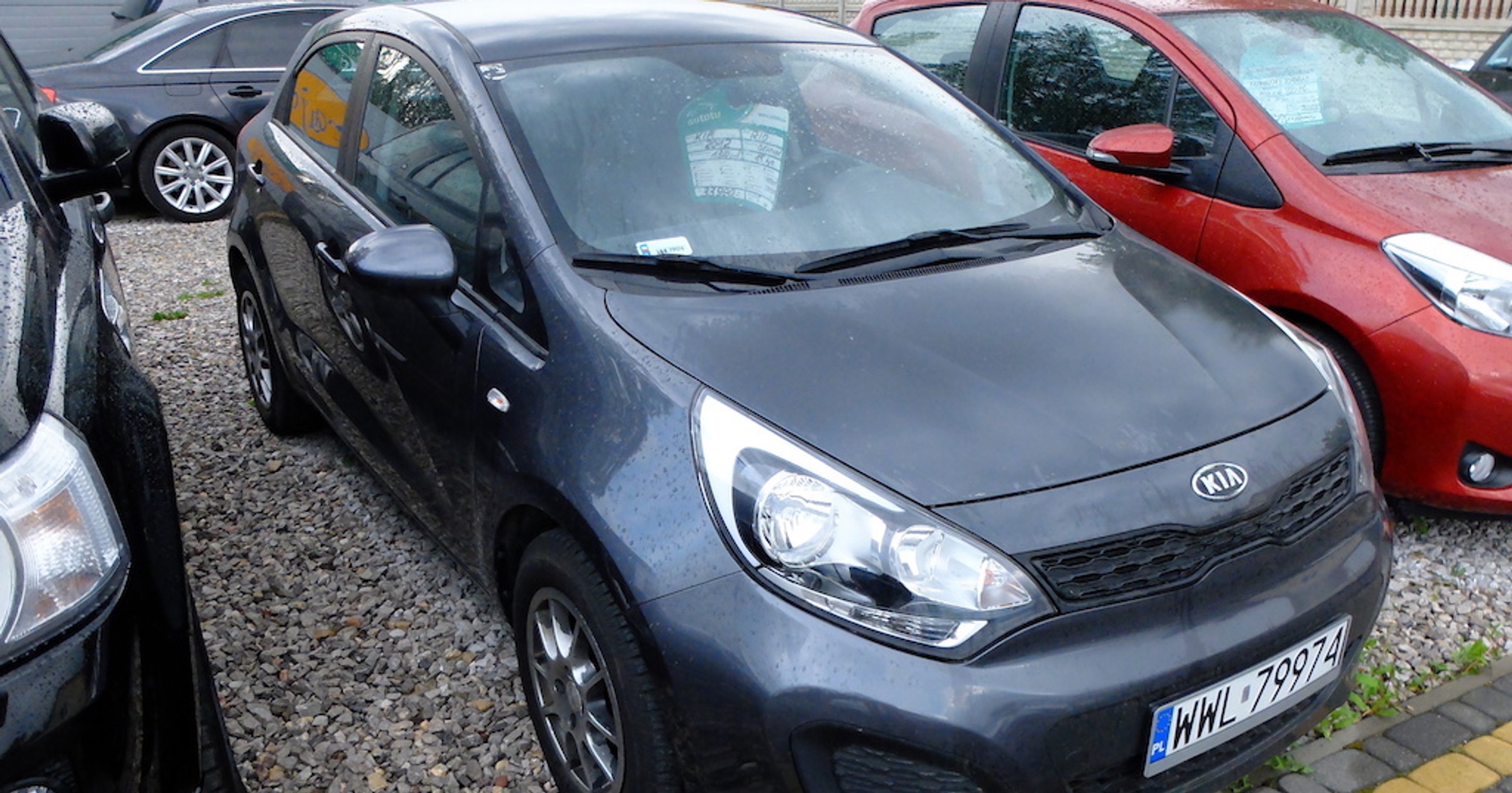 Kia Rio