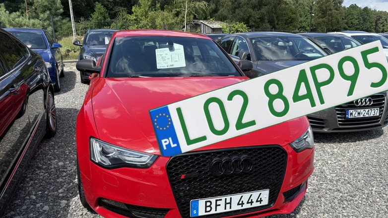 Zielone tablice rejestracyjne