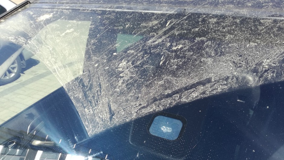 Bez względu na to jaki osad pokrywa nasze auto to lepiej nie zwlekać z usunięciem 