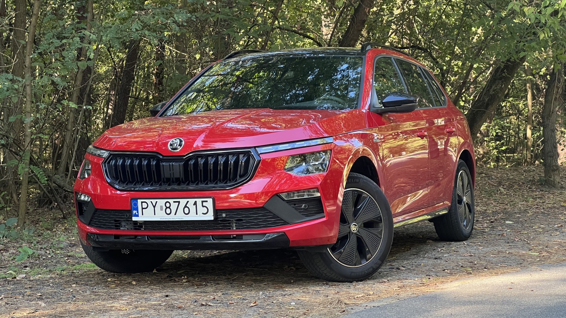 6. miejsce: Skoda Kamiq - 391 egz.