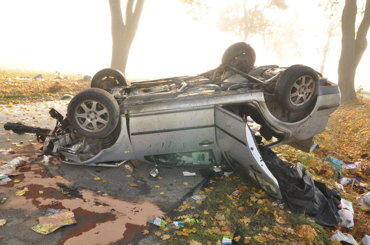 Źródło: krasnystaw.policja.gov.pl/policja.pl