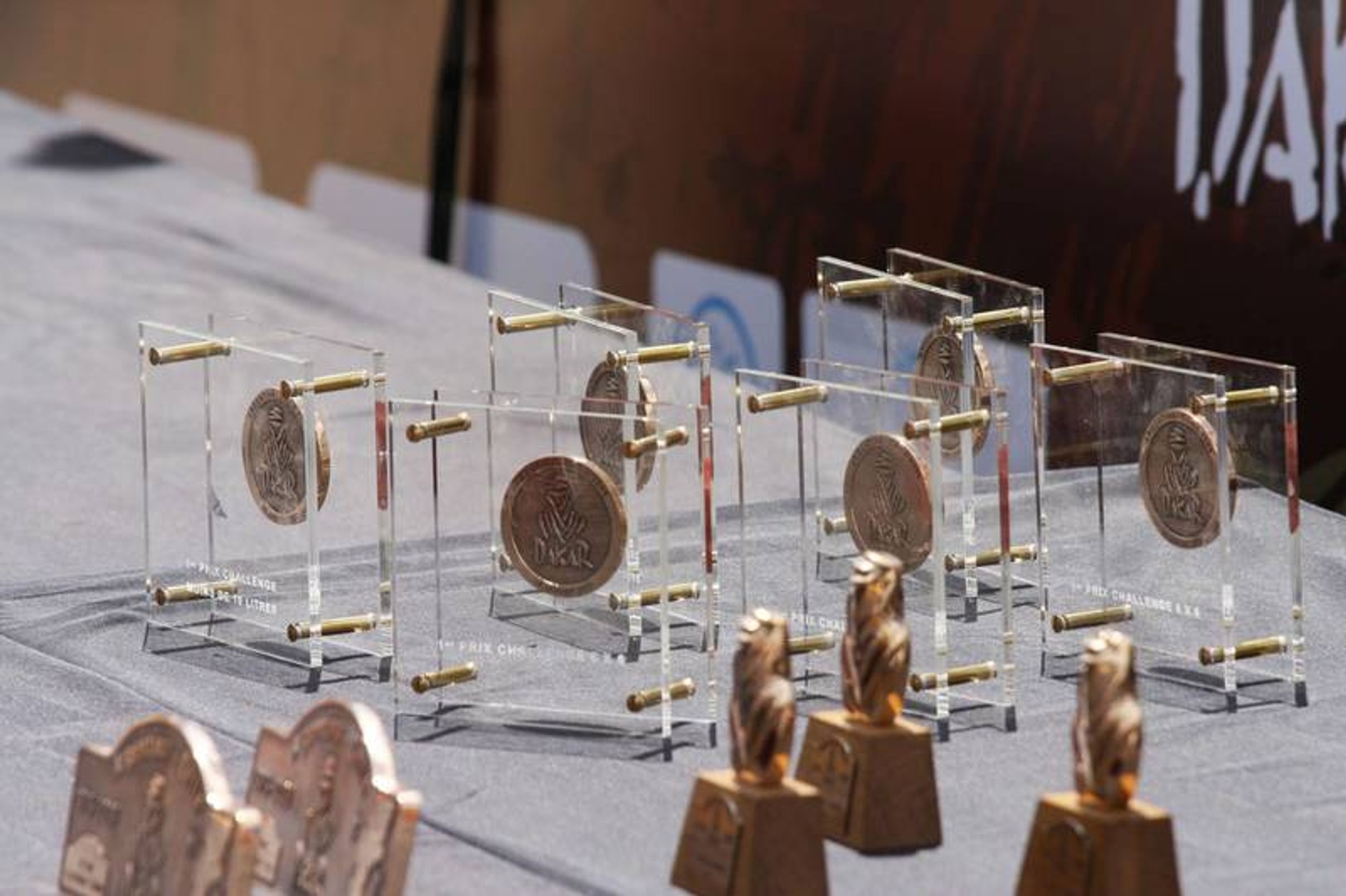 Rajd Dakar 2009: radość na mecie (fotogaleria 3.)