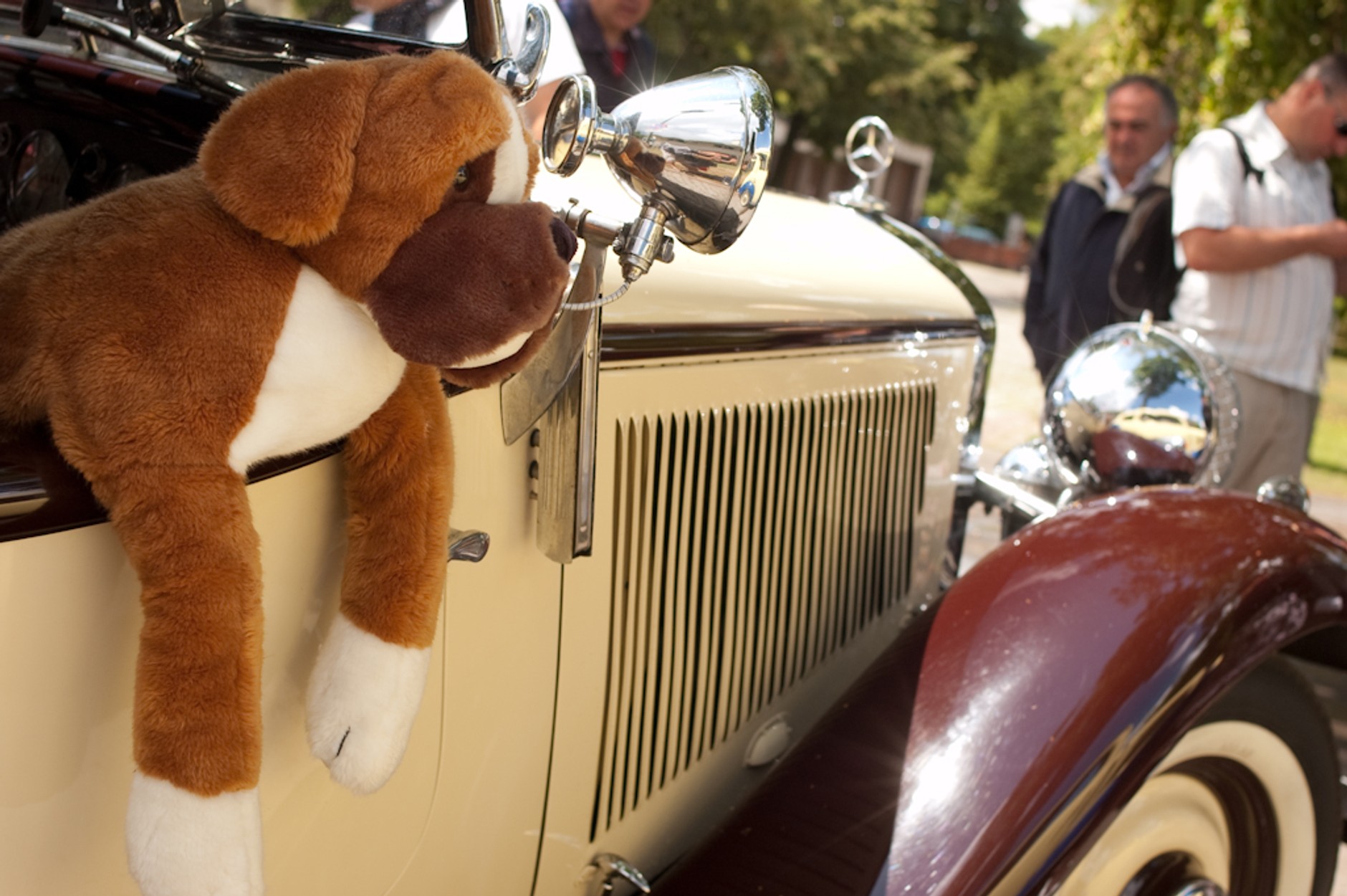 Klasyczne Mercedesy w Wilanowie