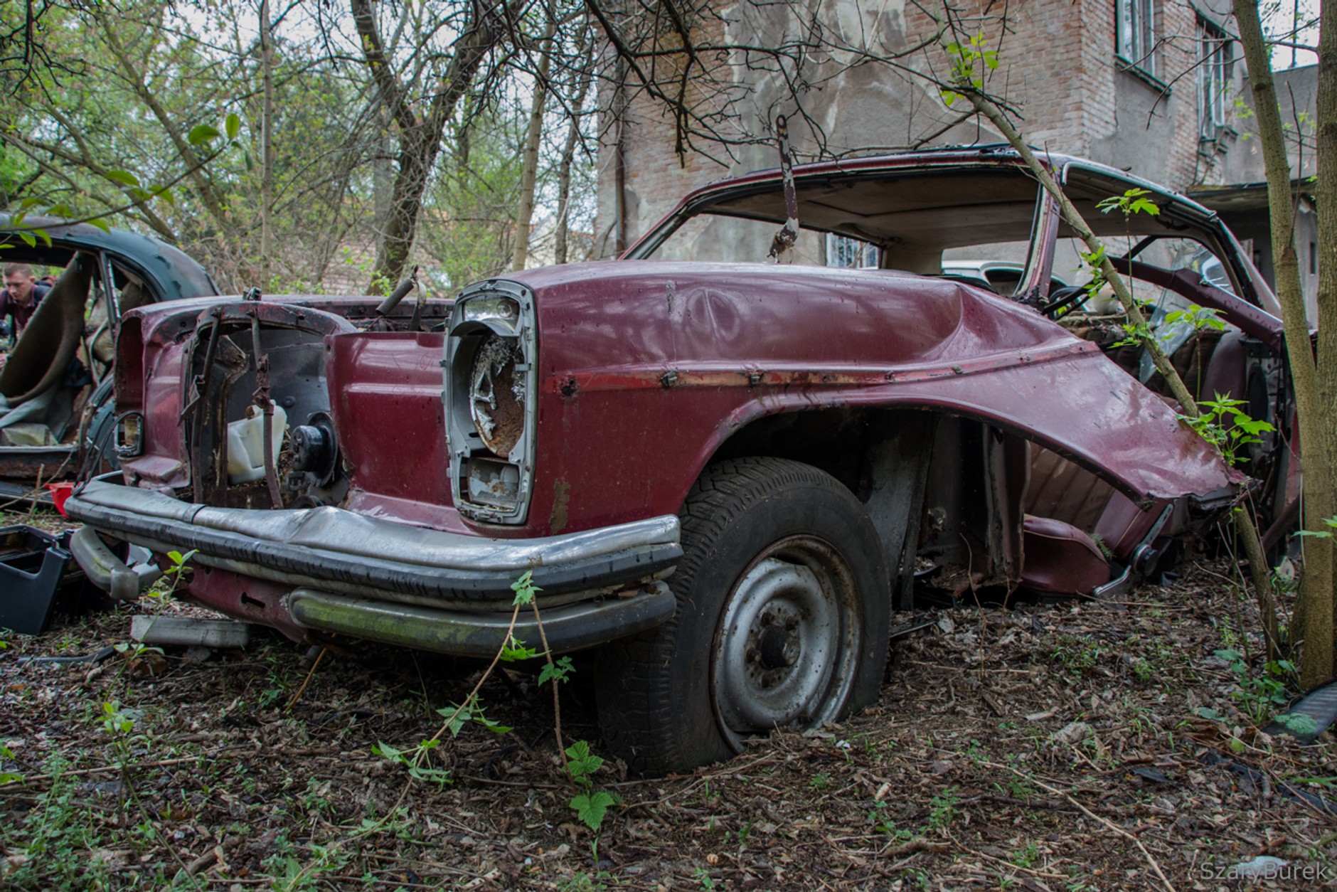 Zapomniana i rozkradziona kolekcja  Tadeusza Tabenckiego