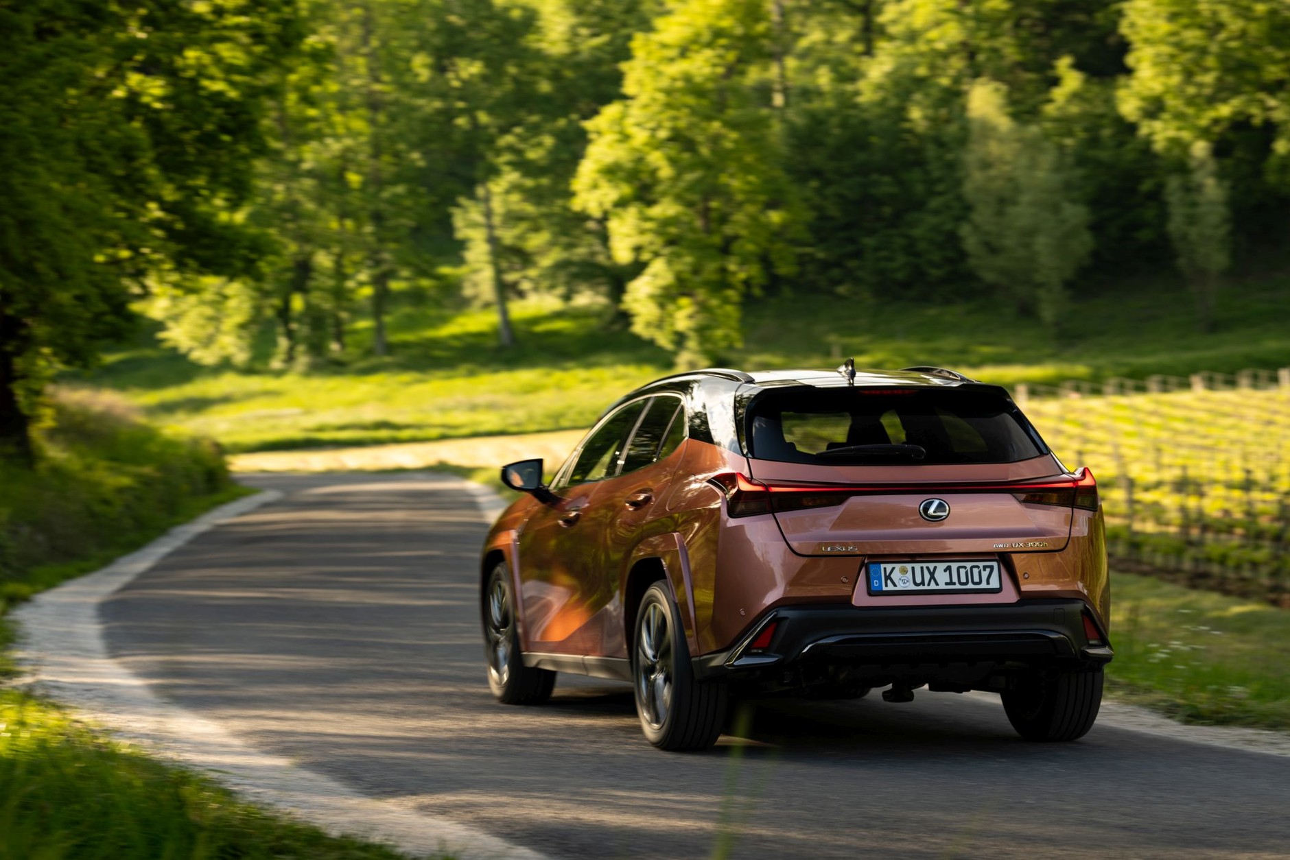 Lexus UX 300h