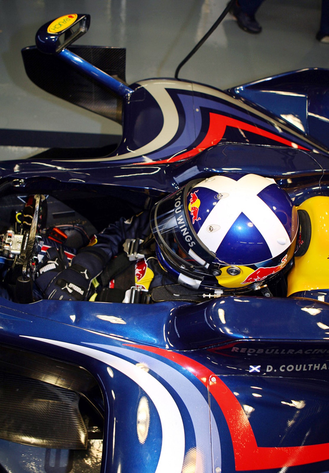 Red Bull Racing 2008 - kierowcy, historia