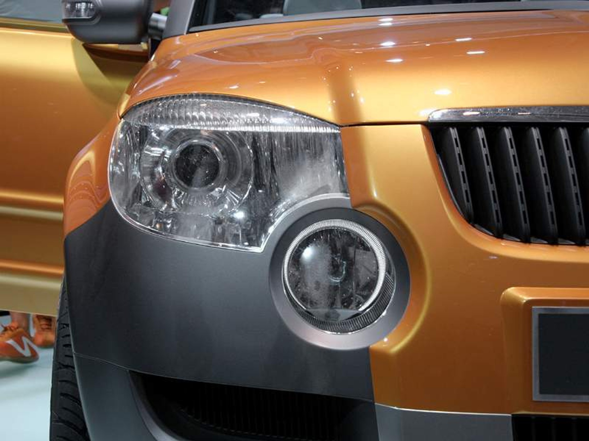 Szef Skoda Auto: przygotowujemy auto dla Indii bazujące na poprzedniku Fabii