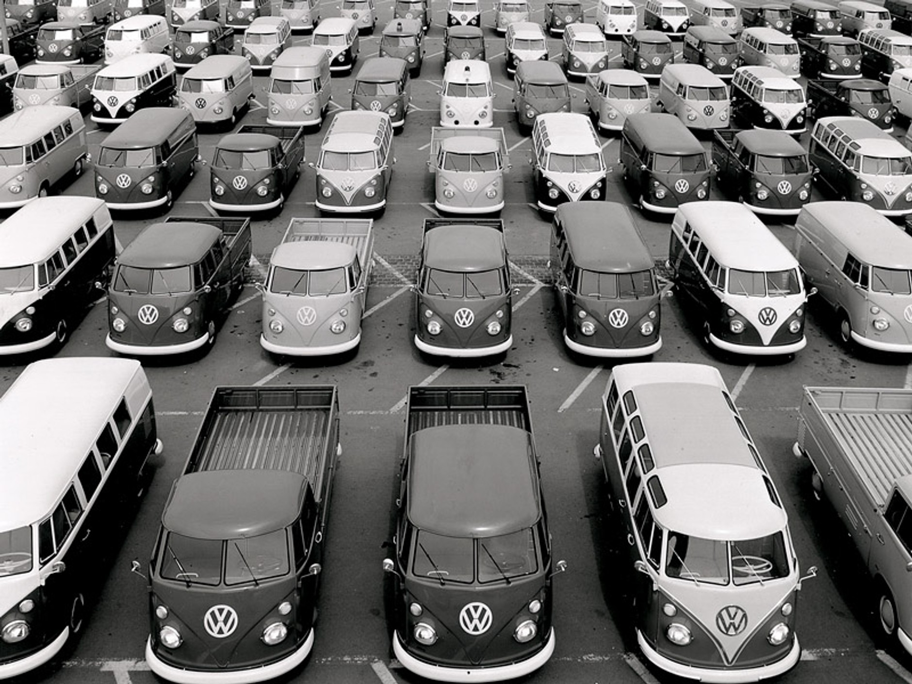 Volkswagen: Ogólnoświatowy zlot właścicieli Transportera