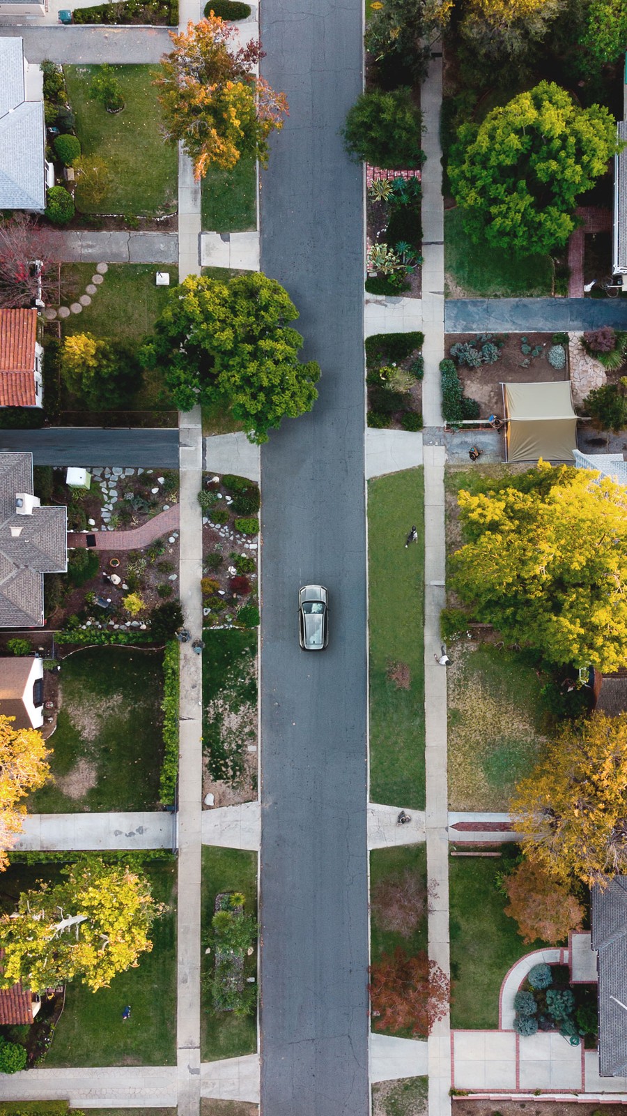 Zapowiedź nowego SUV-a Toyoty