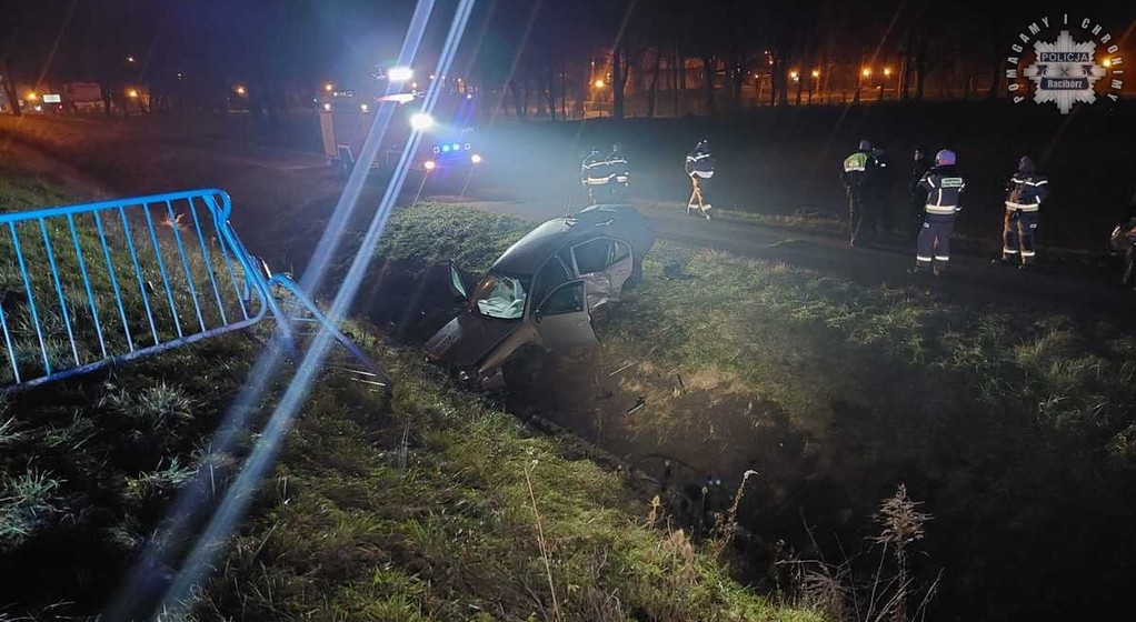 Młode Czeszki nie uciekły daleko, gdyż kierująca z trudnością "trafiała w czarne"