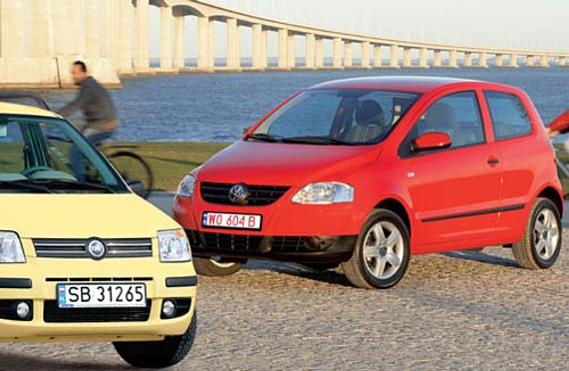 Lis zaatakuje Pandę