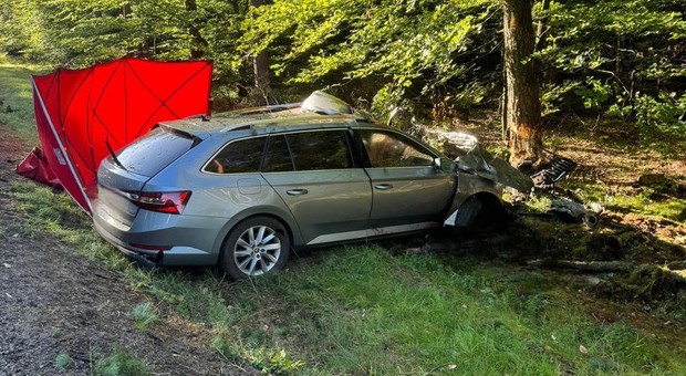 Tragiczny wypadek na DK20. Kierowca zginął po zderzeniu z łosiem
