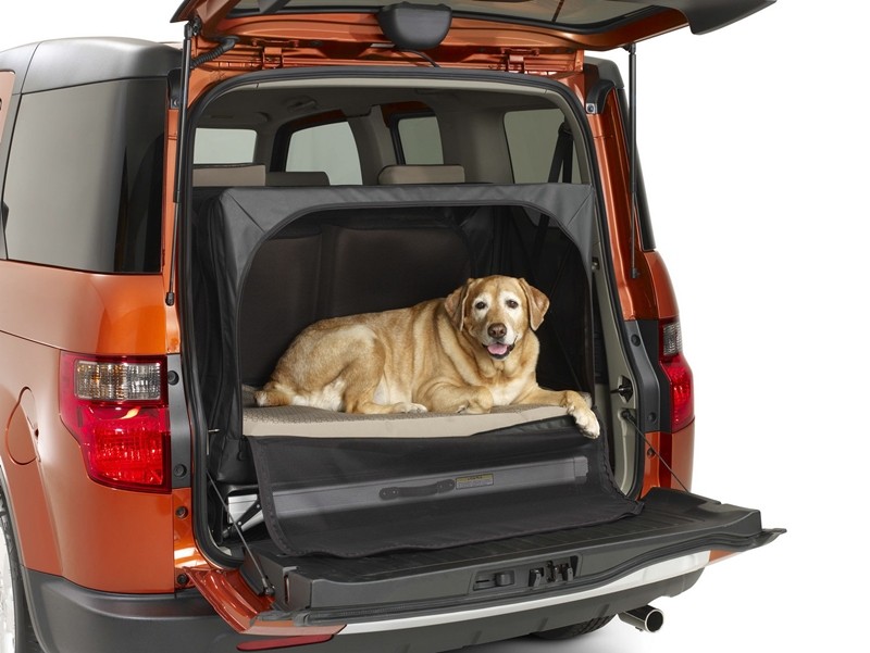 Honda Element – przyjaciółka psów