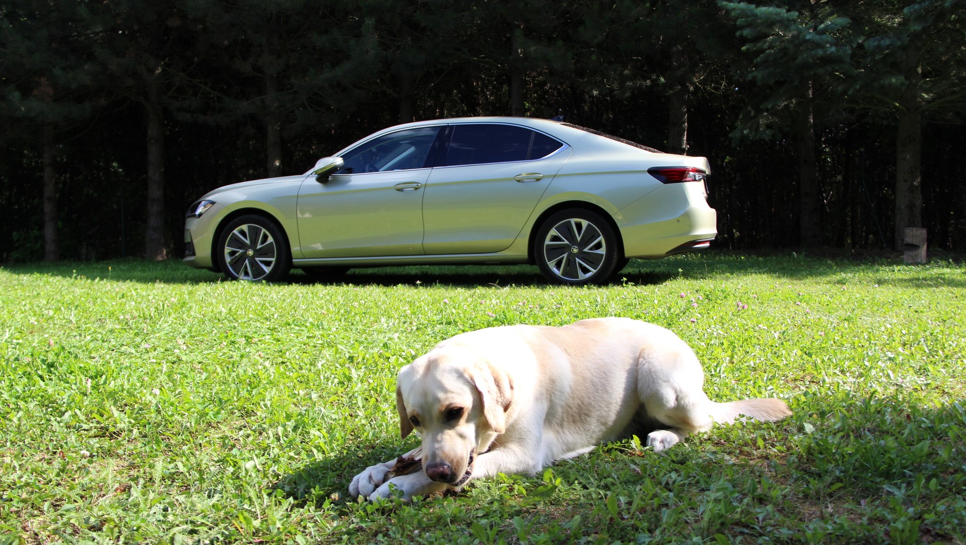 Skoda Superb 1.5 TSI m-HEV Selection