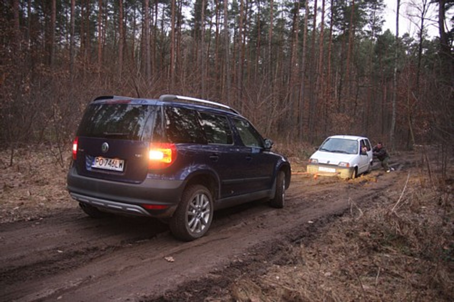 Śladami Yeti, na tropie tura