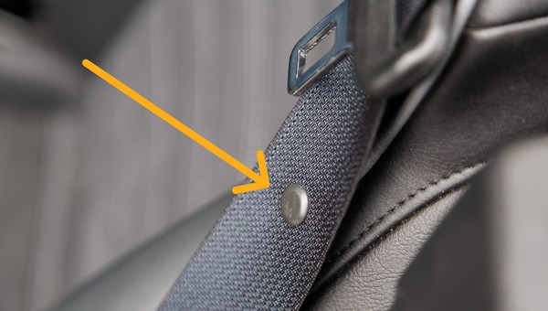 Guzik na pasie bezpieczeństwa