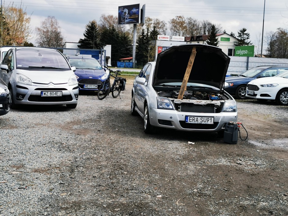 Kawał solidnego drewna pod ręką zawsze może się przydać