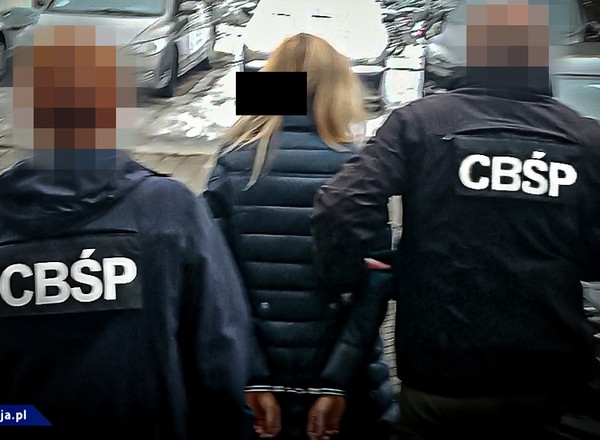 Policja rozbiła gang złodziei samochodów - kradli, legalizowali i je sprzedawali
