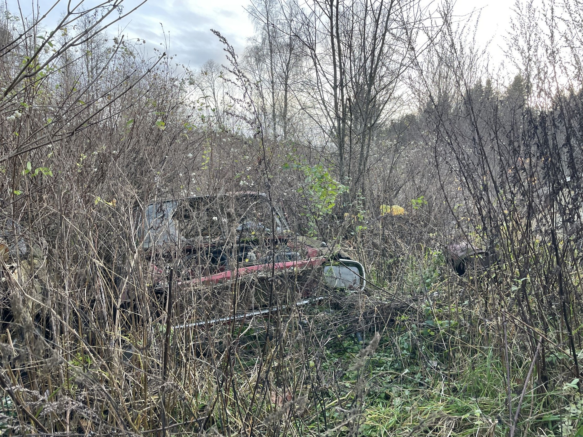 Cmentarzysko samochodów w Bastnas w Szwecji