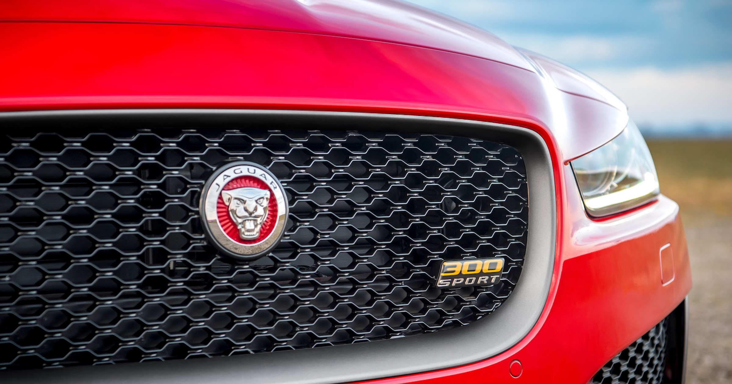 Jaguar