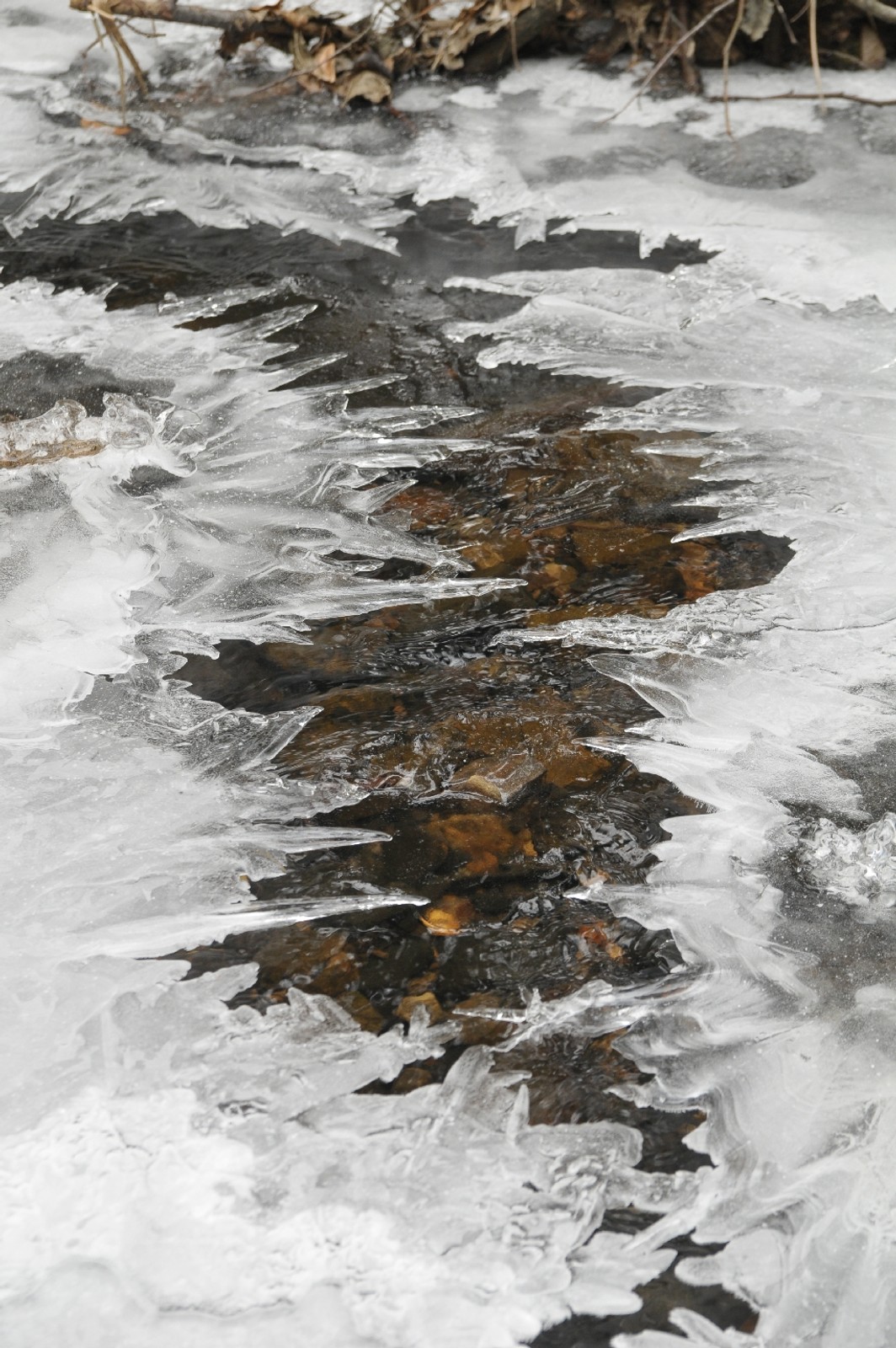 Terenowe zwiedzanie Polski