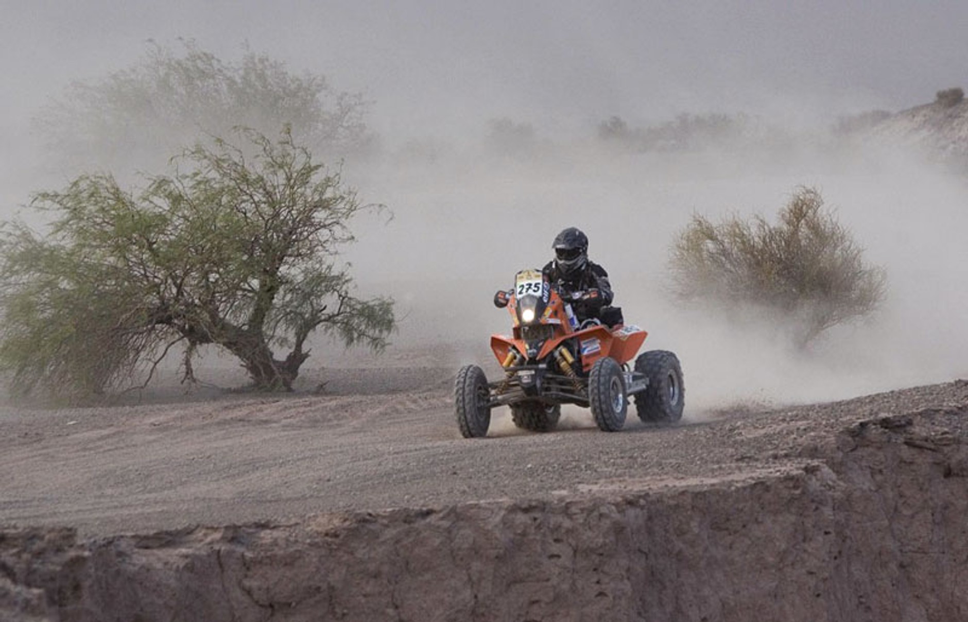 Rajd Dakar 2009: radość na mecie (fotogaleria 3.)