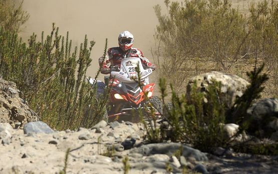 Rajd Dakar 2010: Sonik wygrał etap, Przygoński najlepiej w historii (14. etap na żywo, wyniki)