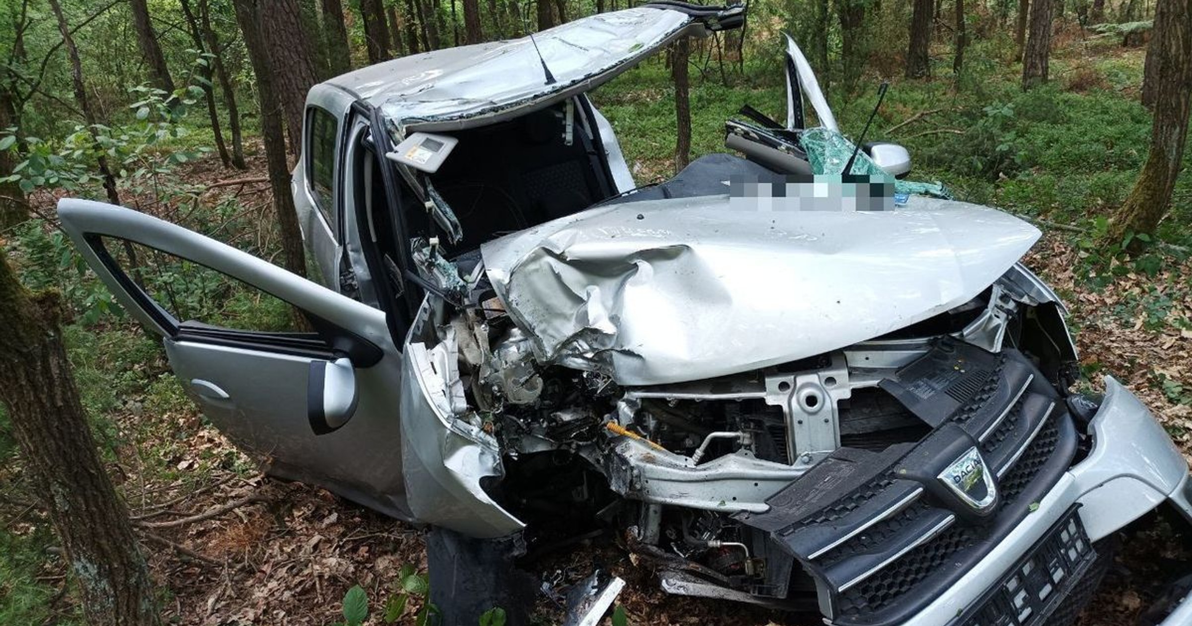 Tak wygląda auto osobowe po zderzeniu z łosiem