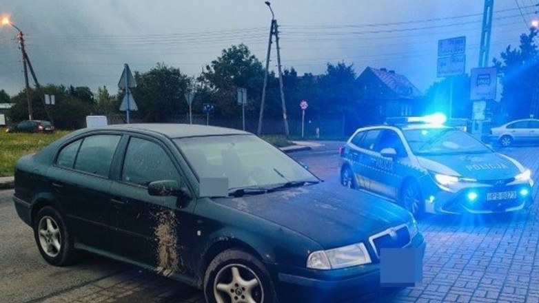 Źródło: legnica.policja.gov.pl