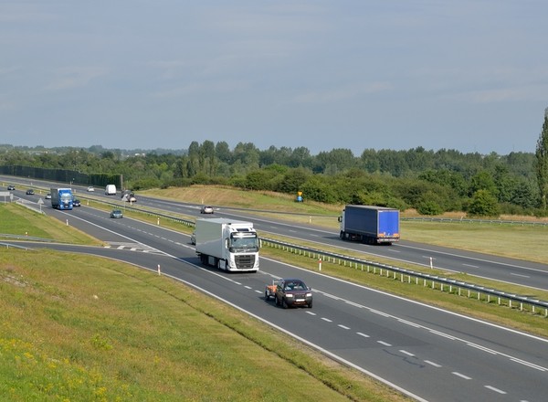 Wyścigi słoni to dalej duży problem na drogach. Nie mogą, a i tak to robią