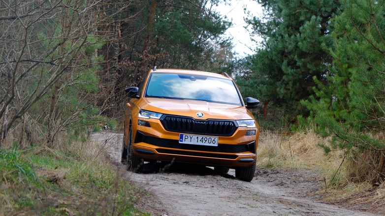 Skoda Karoq 2.0 TSI 190 KM 2023