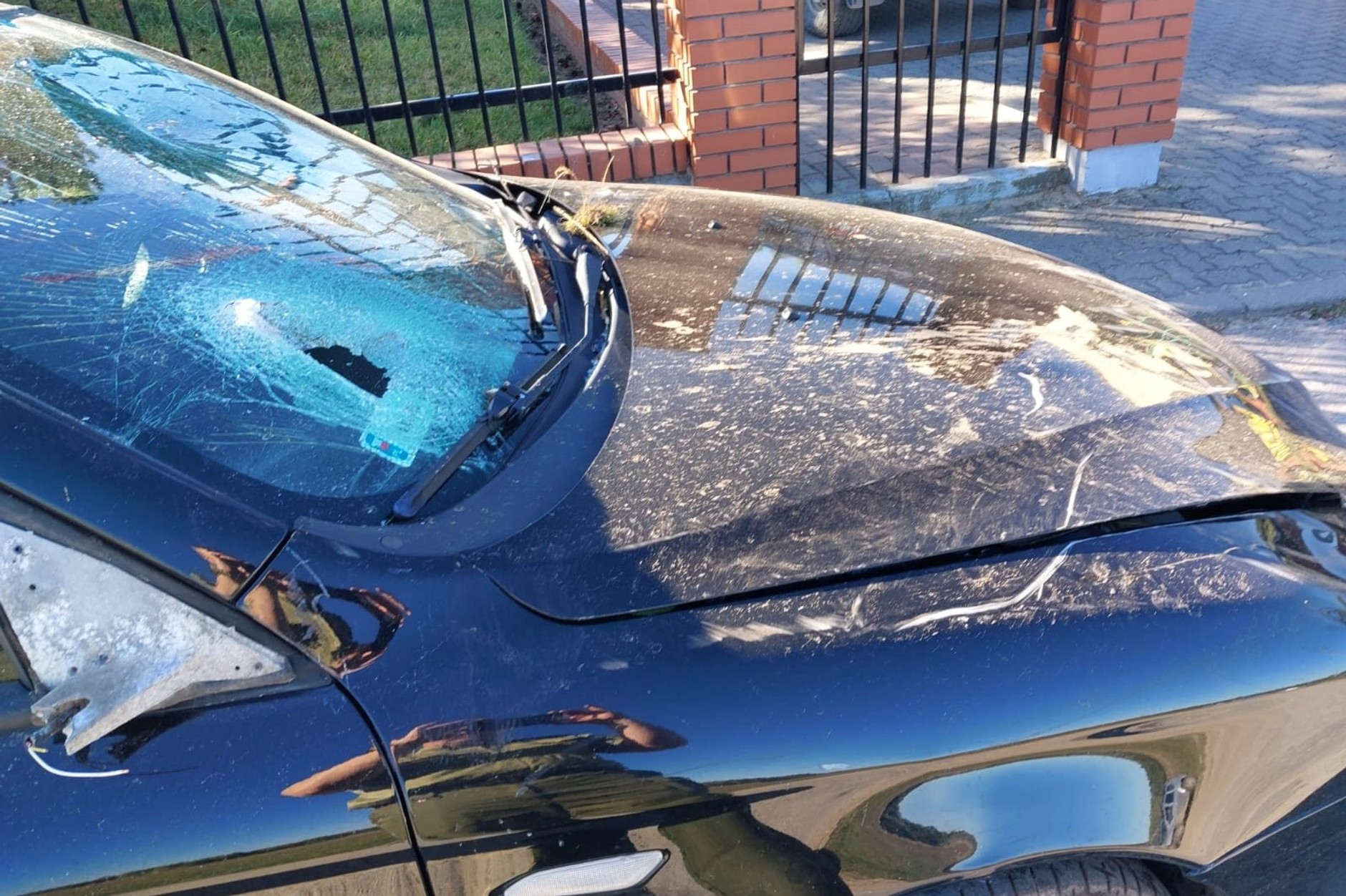 Alfa Romeo 147 ukraińskiego "kuriera", który wiózł dwóch Syryjczyków