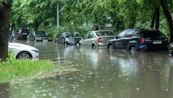 Prawie nowe, tanie i bezwypadkowe, ale po powodzi. Czy warto kupić "okazyjne" auto z Niemiec, Belgii czy Holandii?