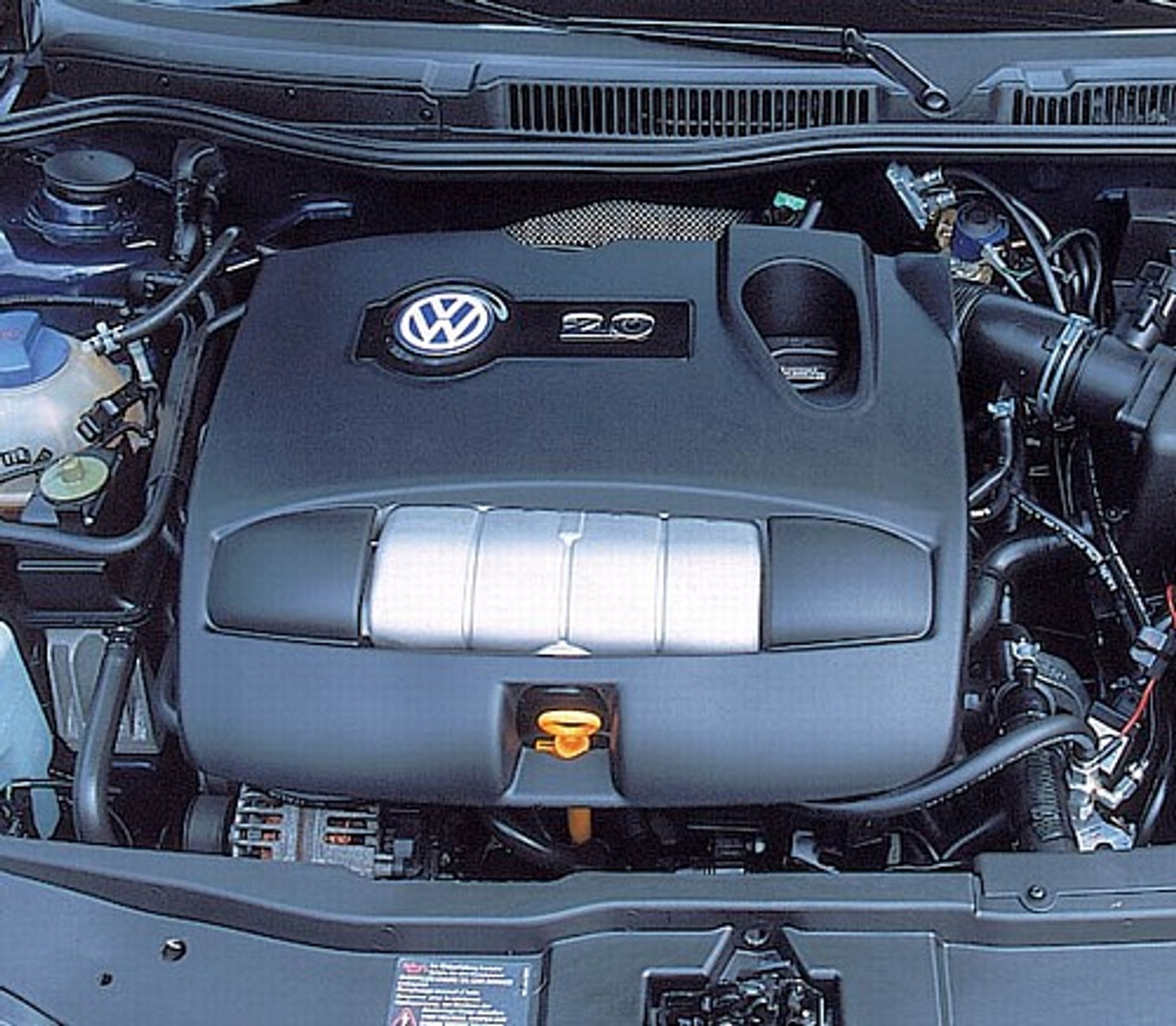 Powiew znad Adriatyku