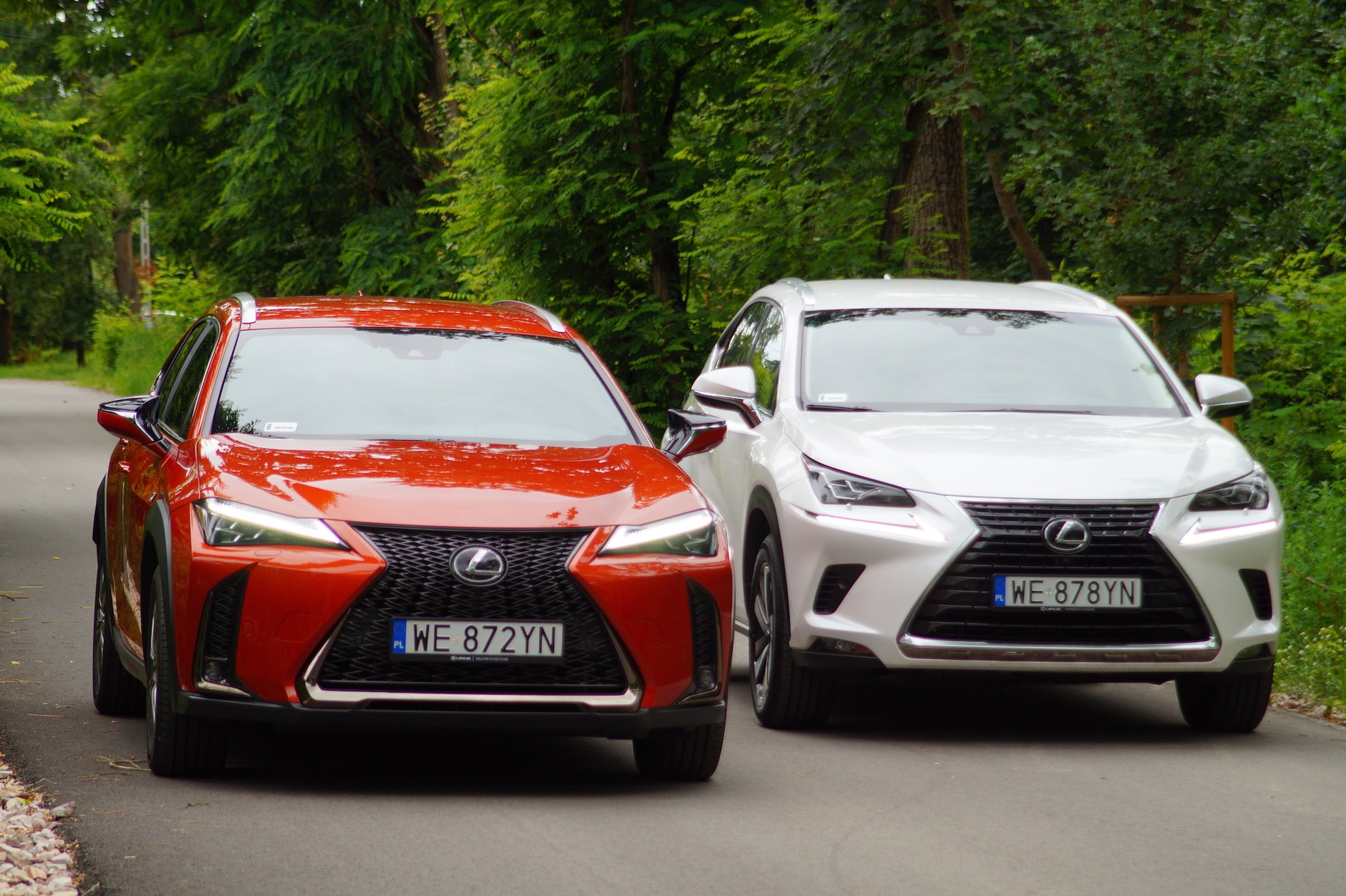 Lexus UX kontra Lexus NX