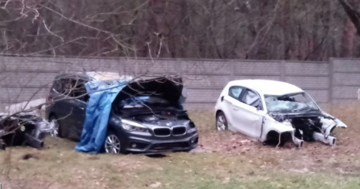 Policjanci dotarli do dziupli samochodowej