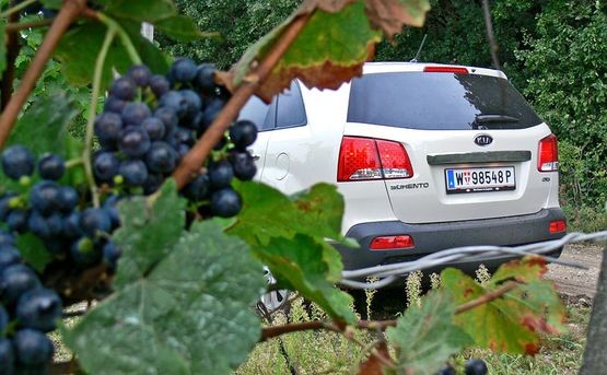 Kia Sorento: pierwsze wrażenia z jazdy