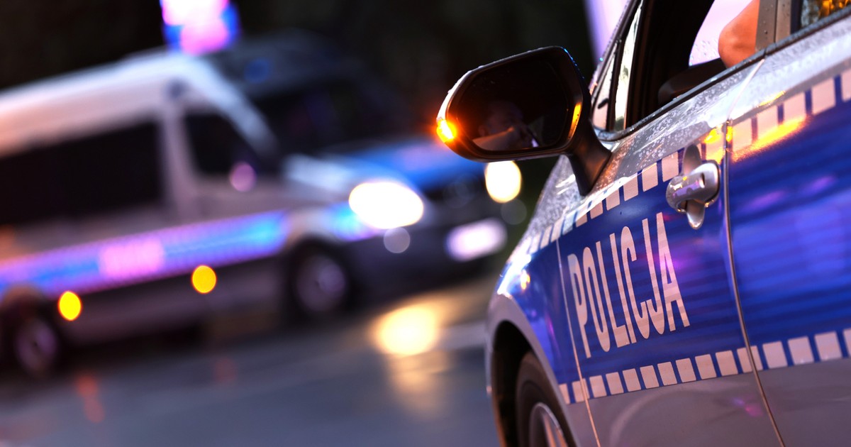 Polska policja