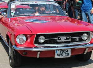 Stado Mustangów na Placu Defilad