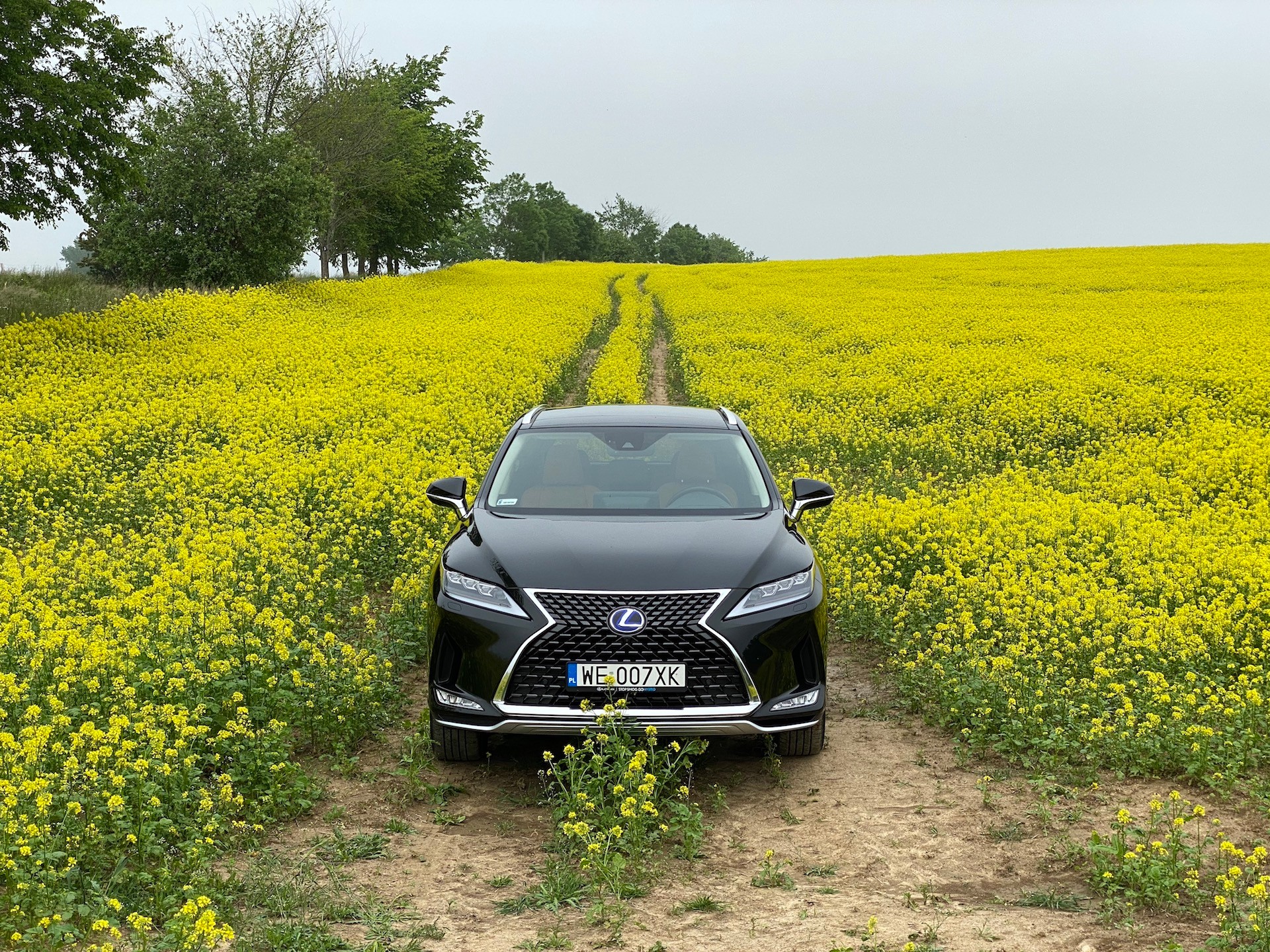 Lexus RX 450h