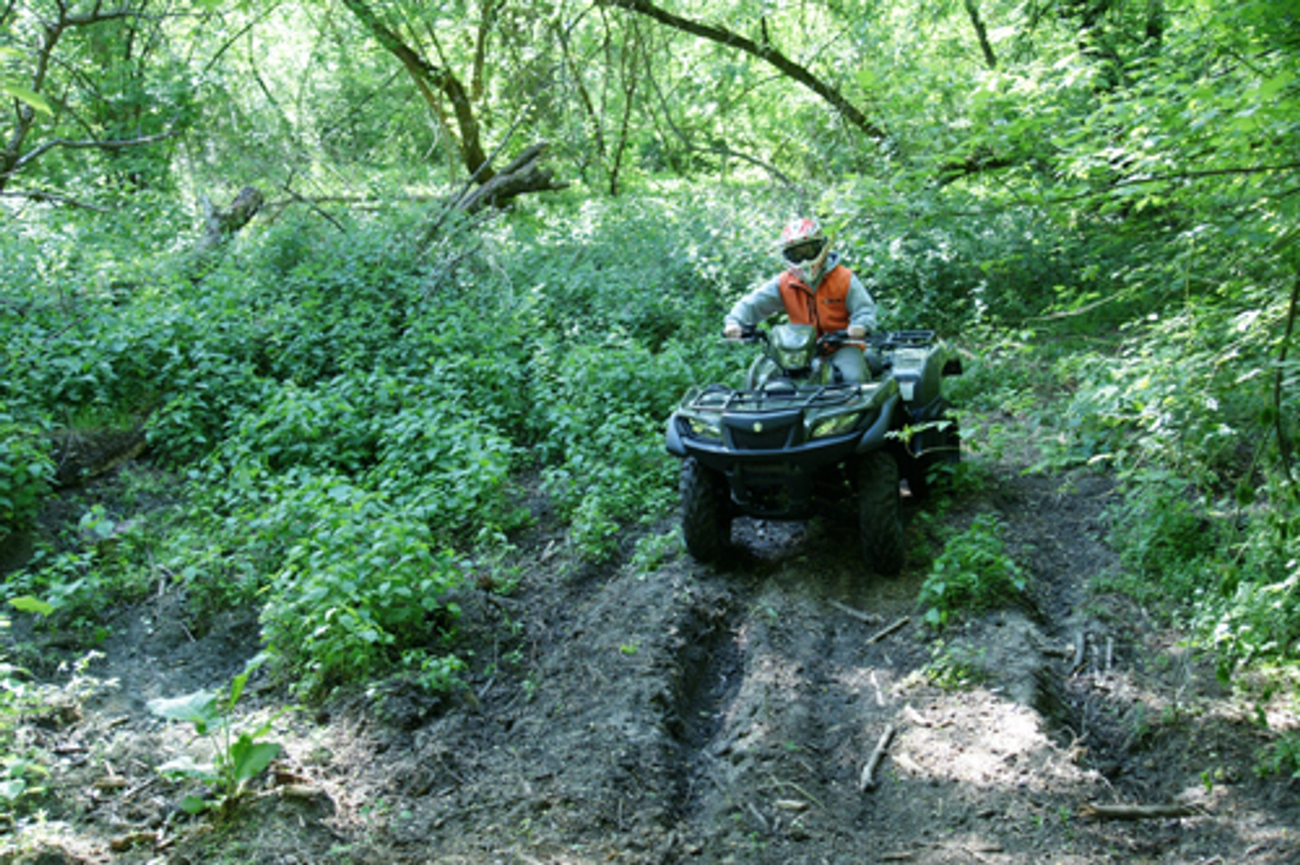 Suzuki KingQuad 750AX: Król quadów