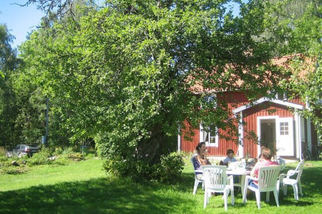 Najdroższe mandaty w Europie