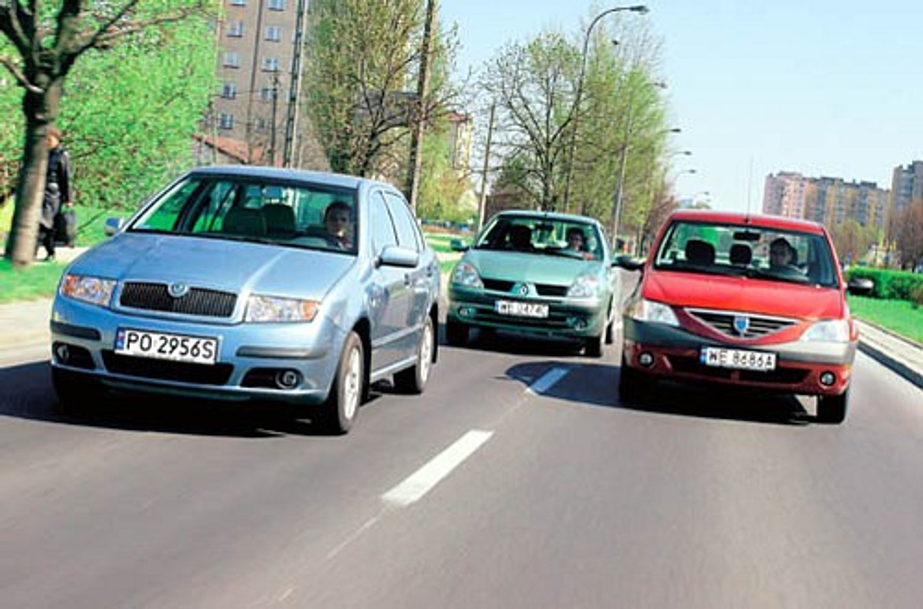 Trzybryłowce wciąż na topie