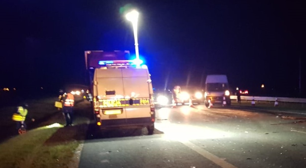 Śmiertelny wypadek z łosiem na autostradzie A1