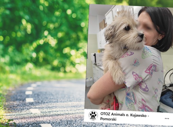 Wyrzucił małego pieska z samochodu. Dopadła go kara