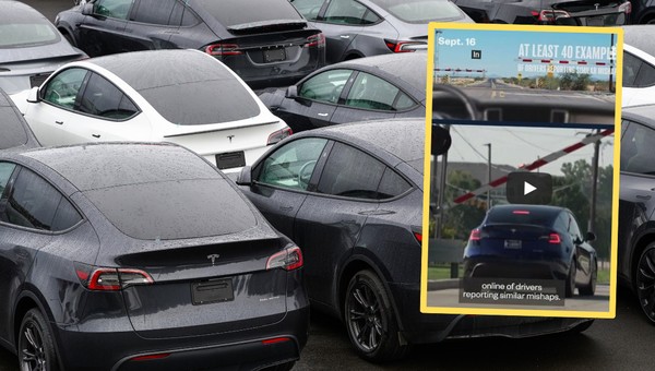 Dziennikarz sprawdzał, jak Tesla jeździ sama. Ledwo uszedł z życiem [WIDEO]