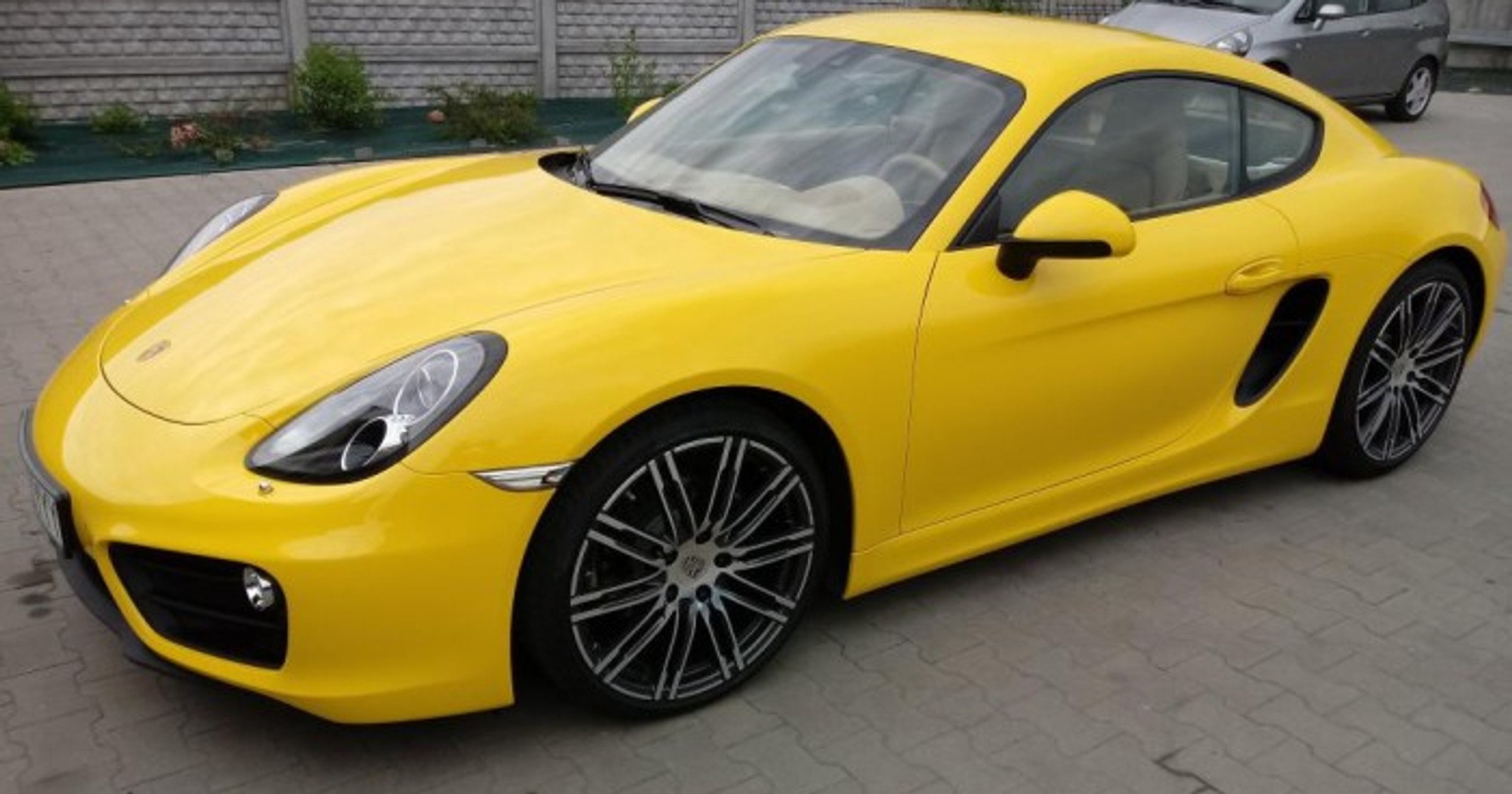 Porsche 981 Cayman